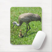 Sandhill Crane en Chick Muismat (Met muis)