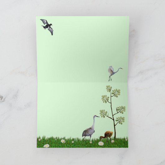 Sandhill Crane en Colt (kuiken) in bloemenveld Kaart (Binnen)