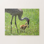 Sandhill Crane en Colts Legpuzzel (Horizontaal)