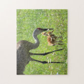 Sandhill Crane en Colts Legpuzzel (Verticaal)