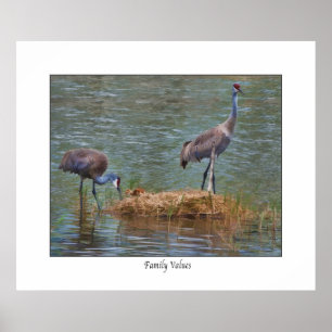 Sandhill Crane " Family Values " - Afdruk Poster