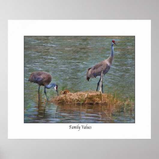 Sandhill Crane " Family Values " - Afdruk Poster (Voorkant)