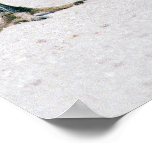 Sandhill Crane Famiy print (Hoek)