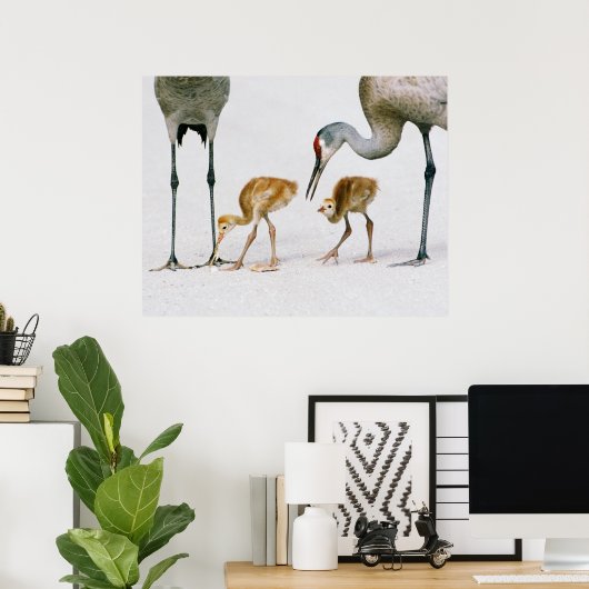 Sandhill Crane Famiy print (Thuiskantoor)