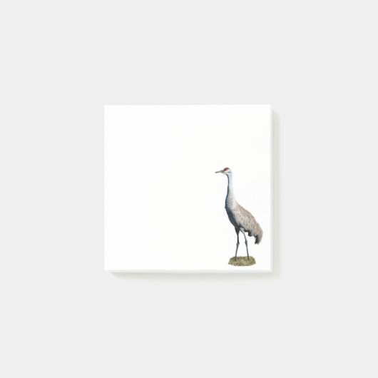 Sandhill Crane Foto Post-it Notities Post-it® Notes (Voorkant)