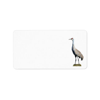 Sandhill Crane Foto Retouradres Label