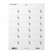 Sandhill Crane Foto Retouradres Label (Full Sheet)