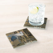 Sandhill Crane Glazen Onderzetter (Schuin)