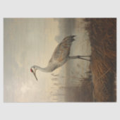 Sandhill Crane in het moeras Decoupage Tissuepapier (Voorkant)