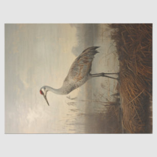 Sandhill Crane in het moeras Decoupage Tissuepapier