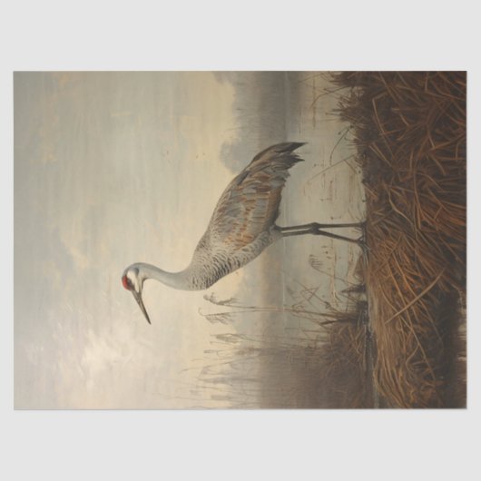 Sandhill Crane in het moeras Decoupage Tissuepapier (Voorkant)