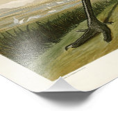 Sandhill Crane John James Audubon Birds of America Foto Afdruk (Hoek)