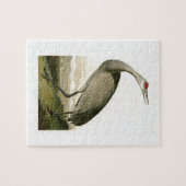 Sandhill Crane John James Audubon Birds of America Legpuzzel (Horizontaal)