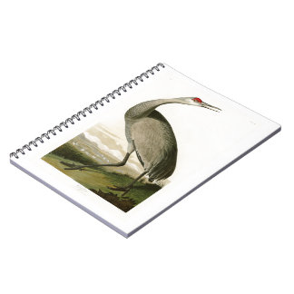 Sandhill Crane John James Audubon Birds of America Notitieboek