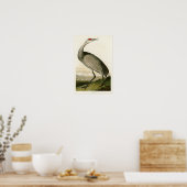 Sandhill Crane John James Audubon Birds of America Poster (Keuken)