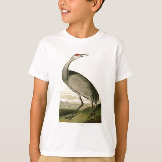 Sandhill Crane John James Audubon Birds of America T-shirt (Voorkant)