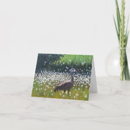 Sandhill Crane Kaart