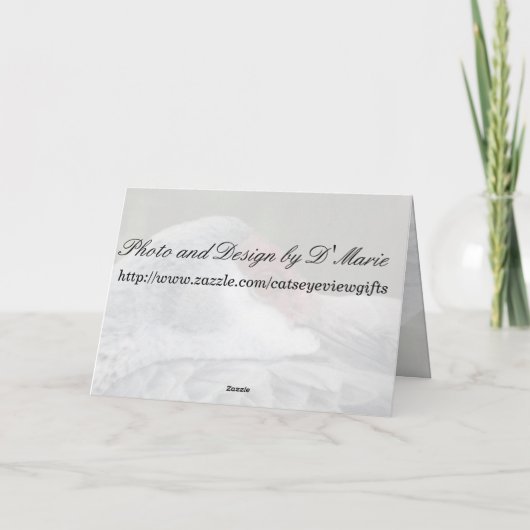 Sandhill Crane Kaart (Achterkant)