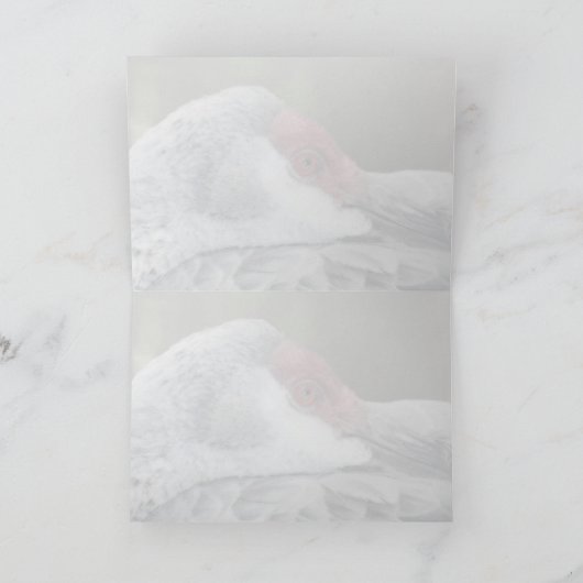 Sandhill Crane Kaart (Binnen)