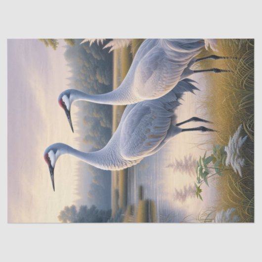 Sandhill Crane Koppel Decoupage Tissuepapier (Voorkant)