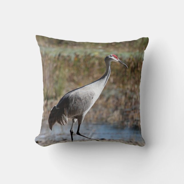 Sandhill Crane Kussen (Voorkant)