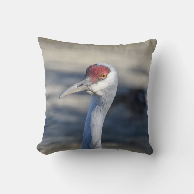 Sandhill Crane Kussen (Voorkant)