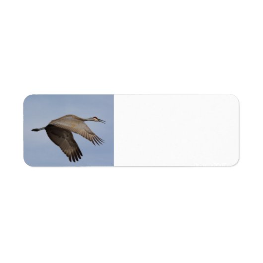 Sandhill Crane-label voor retouradres Etiket (Voorkant)