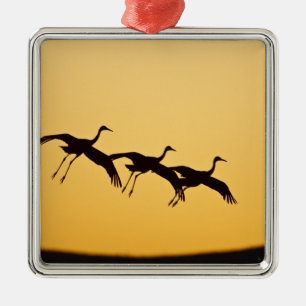 Sandhill Crane landt op zonsondergang Metalen Ornament