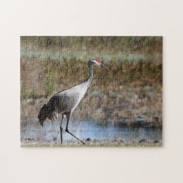 Sandhill Crane Legpuzzel