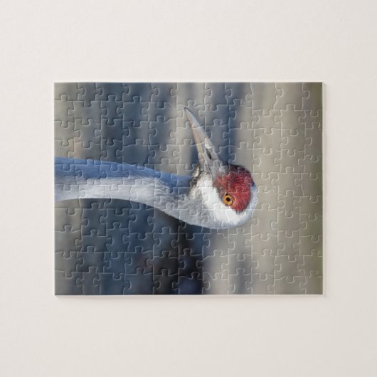 Sandhill Crane Legpuzzel (Horizontaal)