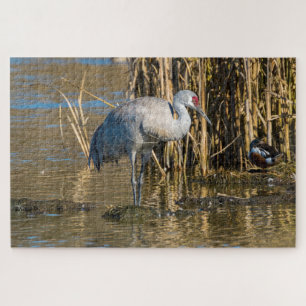 Sandhill Crane Legpuzzel