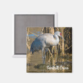Sandhill Crane Magneet (Voorkant / Achterkant)