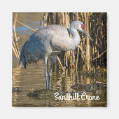 Sandhill Crane Magneet (Voorkant)