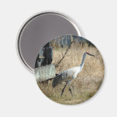 Sandhill Crane Magnet (Voorkant / Achterkant)
