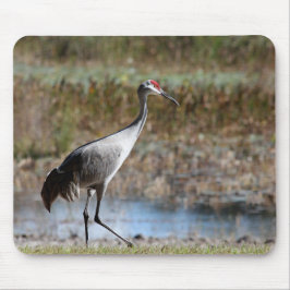 Sandhill Crane Muismat
