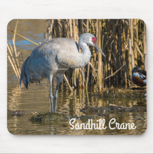 Sandhill Crane Muismat