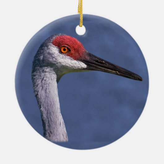 Sandhill Crane Ornament (Achterkant)