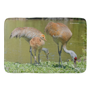 Sandhill Crane Parents and Chick Badmat