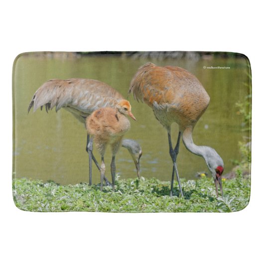 Sandhill Crane Parents and Chick Badmat (Voorkant)