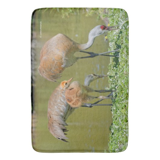 Sandhill Crane Parents and Chick Badmat (Voorkant Verticaal)