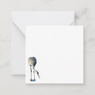Sandhill Crane Photo Stationery Platte Note Kaarte Notitiekaartje