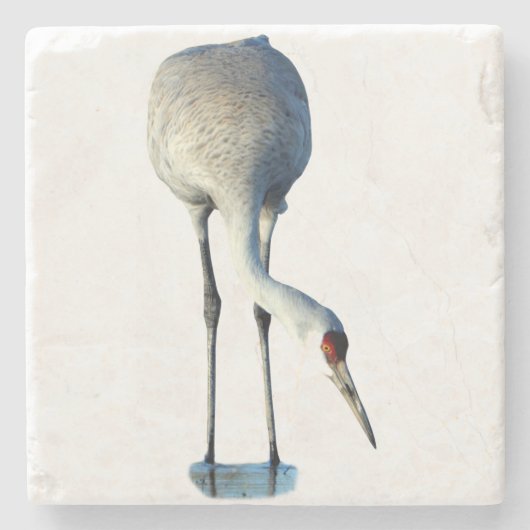 Sandhill Crane Photo Stone Coaster Stenen Onderzetter (Voorkant)