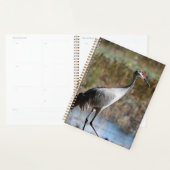 Sandhill Crane Planner (Display)