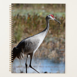 Sandhill Crane Planner