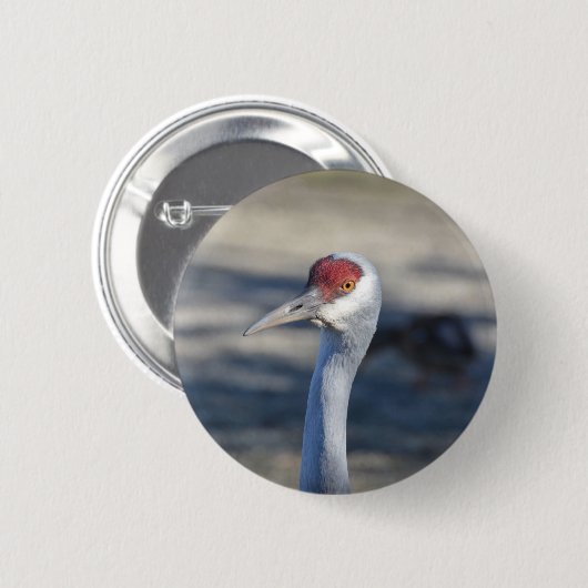 Sandhill Crane Ronde Button 5,7 Cm (Voorkant /achterkant)