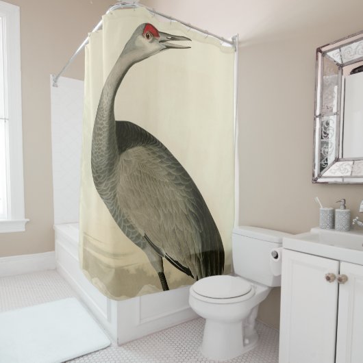 Sandhill Crane uit Audubon's Birds of America Douchegordijn (In situ)