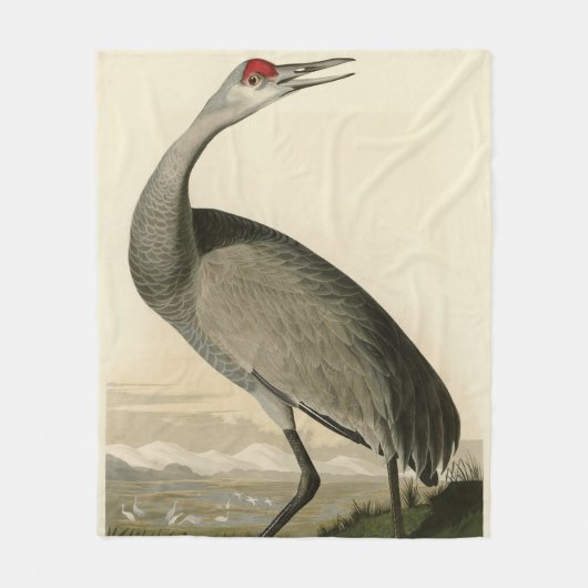 Sandhill Crane uit Audubon's Birds of America Fleece Deken (Voorkant)