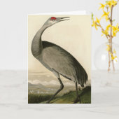 Sandhill Crane uit Audubon's Birds of America Kaart (Gele Bloem)