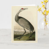 Sandhill Crane uit Audubon's Birds of America Kaart (Gele Bloem)