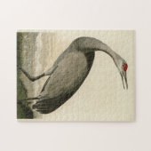 Sandhill Crane uit Audubon's Birds of America Legpuzzel (Horizontaal)